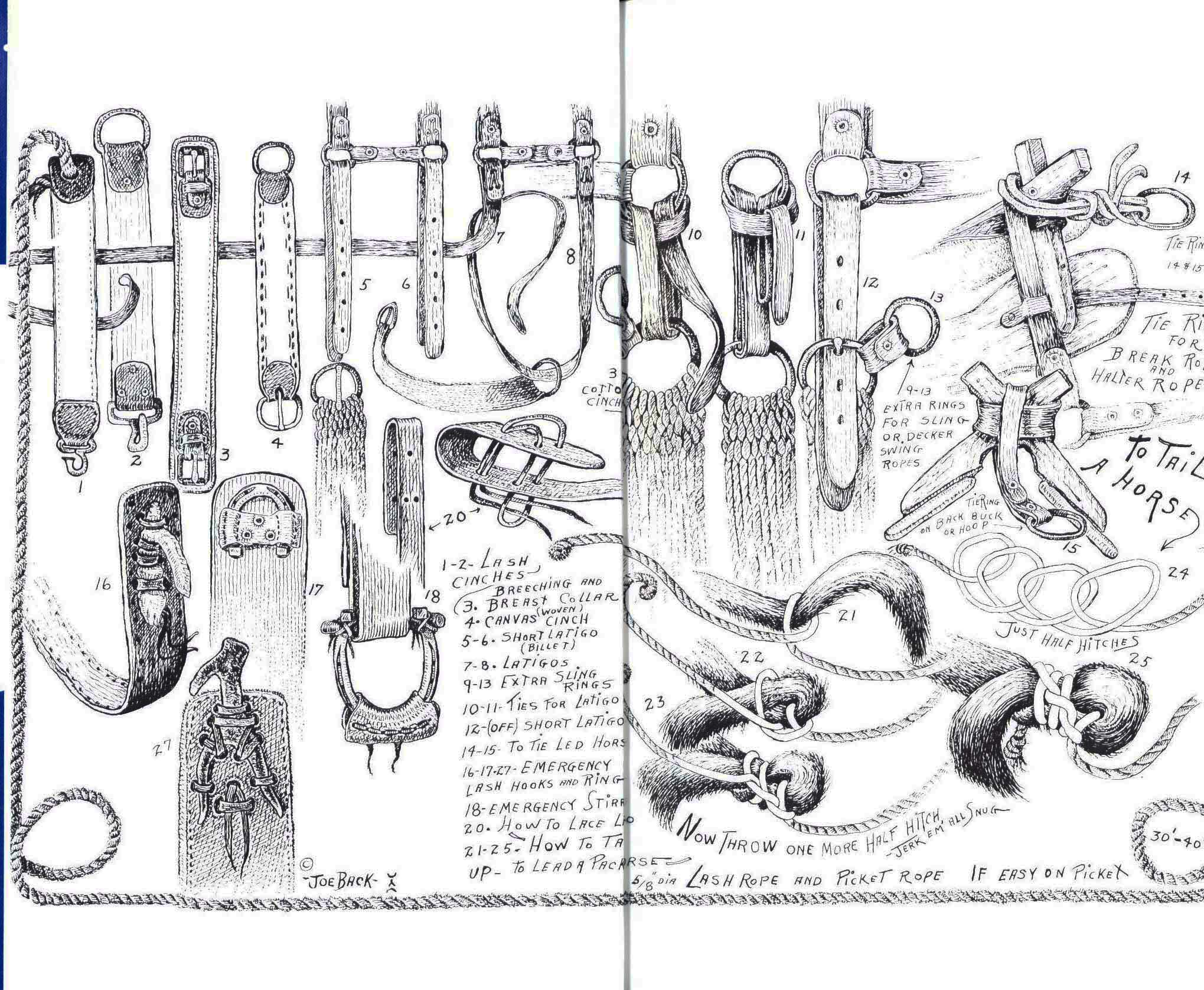 HORSES, HITCHES&nbsp;& ROCKY TRAILS: "the packer's bible". 